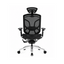 Silla Dvary