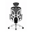 Silla Dvary
