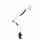 Brazo Individual Ajustable para Monitor