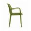Silla Spyga con brazos (Oliva)